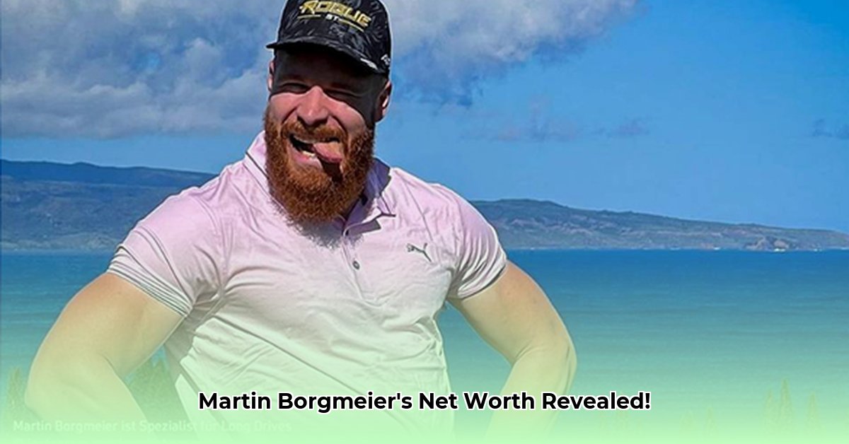 martin-borgmeier-net-worth
